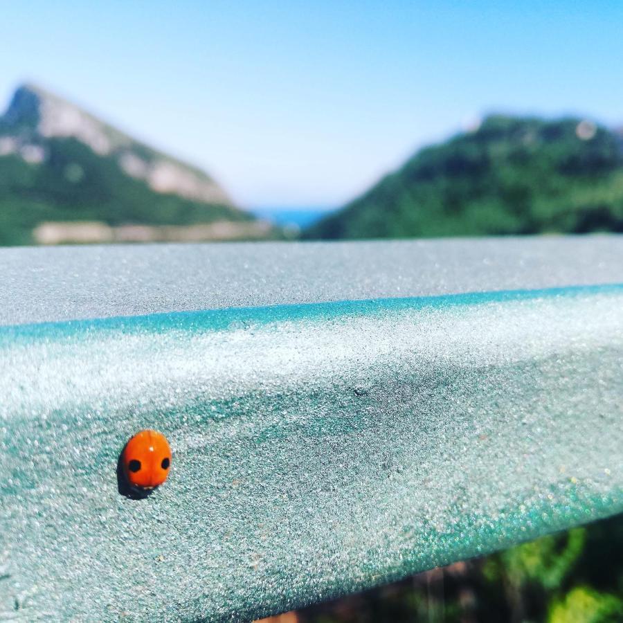 La Roccia Incantata Amalfi Coast Vietri Exteriör bild