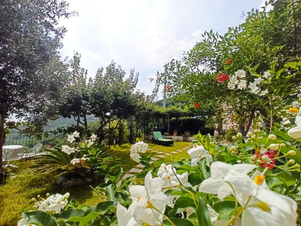 La Roccia Incantata Amalfi Coast Vietri Exteriör bild