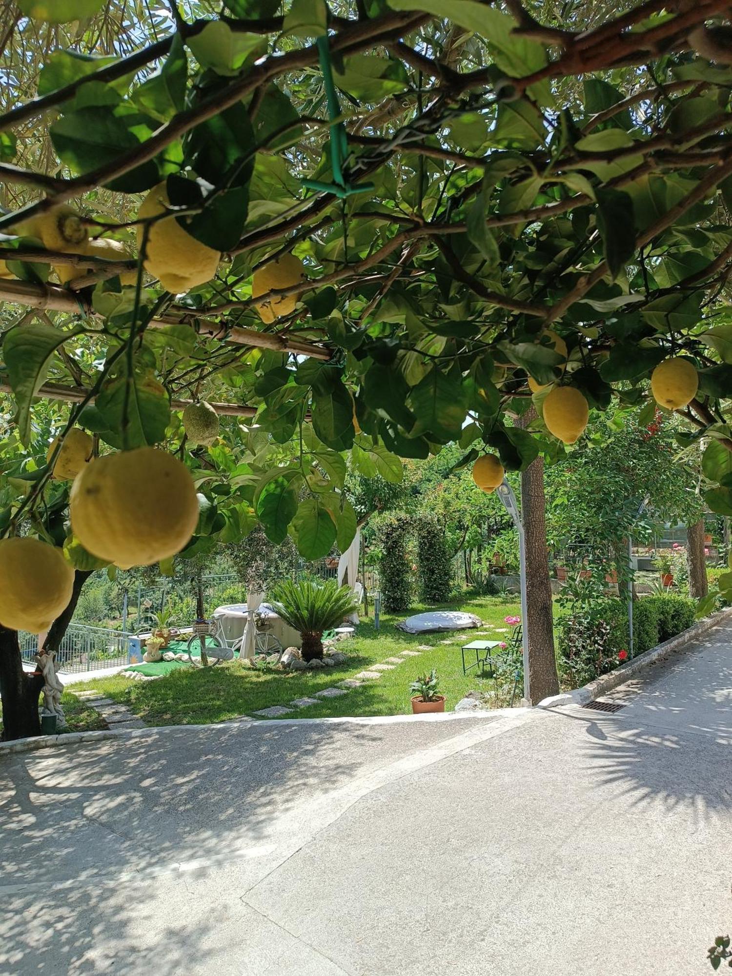 La Roccia Incantata Amalfi Coast Vietri Exteriör bild